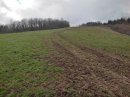 Montée à La Rippe